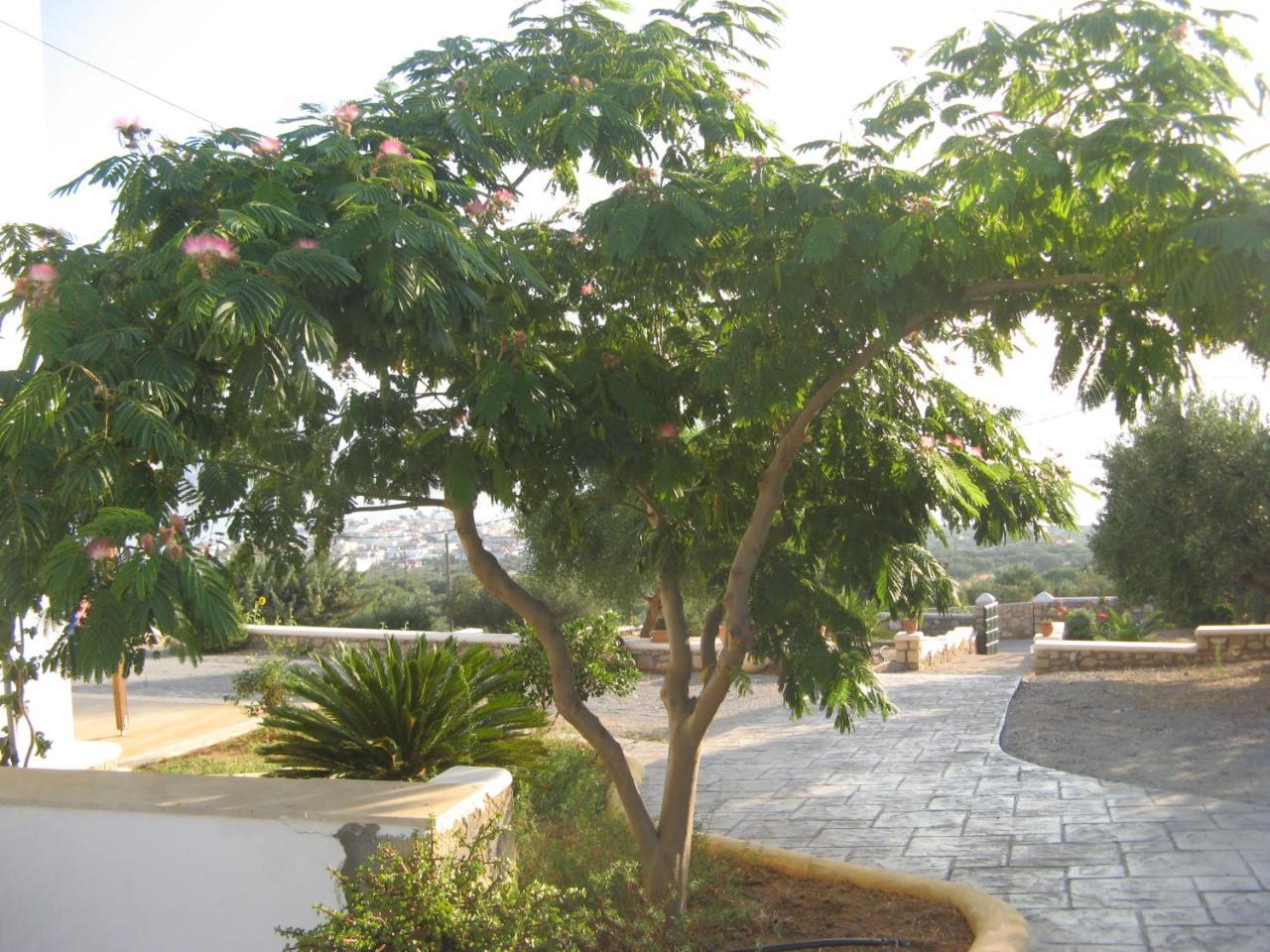Studios Maniati Elafonissos Luaran gambar